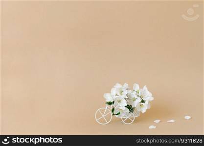 A white retro toy bicycle delivering white apple blossoms on a beige background. Valentine&rsquo;s day card, birthday gift, Women&rsquo;s Day. Delivery of holiday goods. Spring concept with copy space
