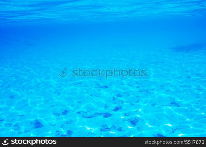 A white sand bottom in clear water at Maldives