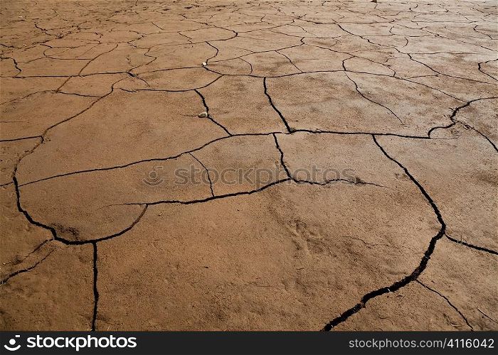 A wide angle shot of dry cracked earth.