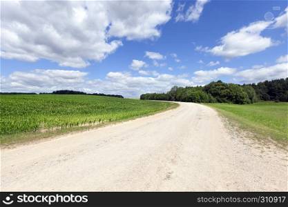 A wide country road of sand and gravel, passes through economic fields and forest, summer landscape. Country road summer