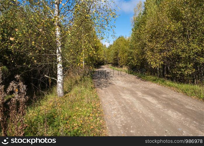 A wide dirt road among autumn trees with yellow leaves on a sunny day.
