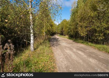 A wide dirt road among autumn trees with yellow leaves on a sunny day.