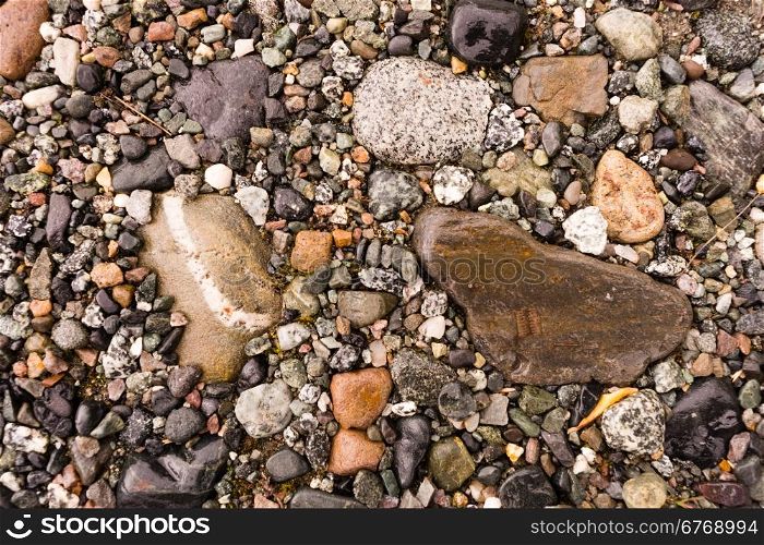 A wide variety of rocks make up the ground at river&rsquo;s edge in Alaska