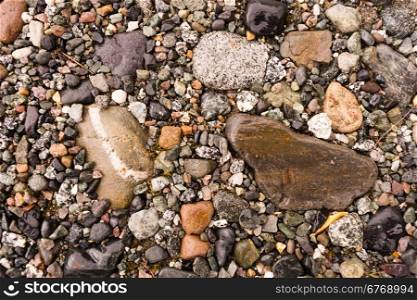 A wide variety of rocks make up the ground at river&rsquo;s edge in Alaska