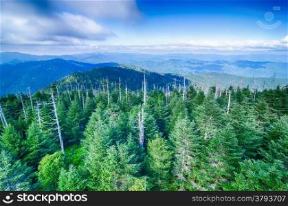 A wide view of the Great Smoky Mountains from the top of Clingman&rsquo;s Dome