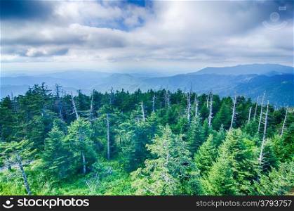 A wide view of the Great Smoky Mountains from the top of Clingman&rsquo;s Dome