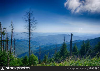 A wide view of the Great Smoky Mountains from the top of Clingman&rsquo;s Dome