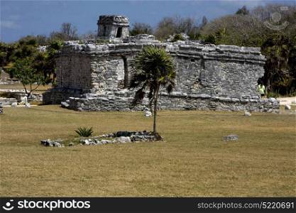 a wild angle of the tulum temple in mexico america