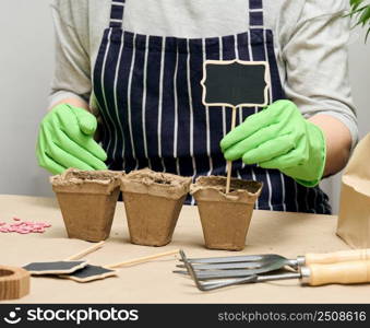 A woman arranges wooden markers in paper cups with soil to sign the names of the planted seeds. Growing at home