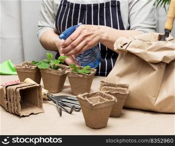A woman at home is watering plants in paper cups. Growing plants and vegetables at home