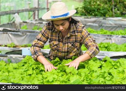 A woman gardener caring for organic vegetable in the home vegetable garden. Female farmer working at her organic farm. Home gardening and grow vegetable concept.