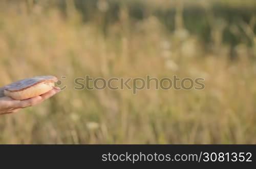 A woman gives a sandwich to a little girl in the hands on nature. Close-up of female hands and a sandwich. Slow motion.