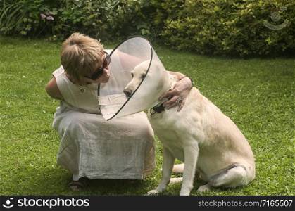 A woman hugging Labrador dog wearing Elizabethan plastic cone medical collar around neck for anti-bite wound protection on green grass meadow