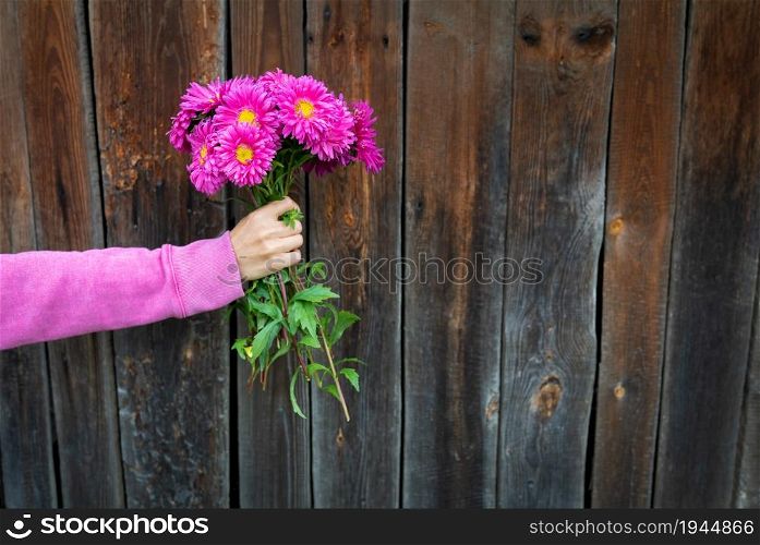 A woman in a pink sweater holds a beautiful pink bouquet of flowers in her hands against the background of a wooden wall. Place for an inscription. A woman in a pink sweater holds a beautiful pink bouquet of flowers in her hands against the background of a wooden wall. Place for an inscription.