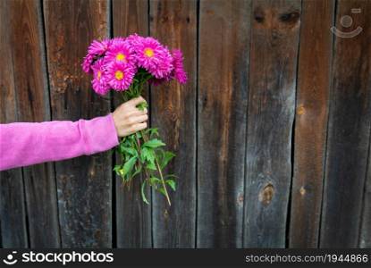 A woman in a pink sweater holds a beautiful pink bouquet of flowers in her hands against the background of a wooden wall. Place for an inscription. A woman in a pink sweater holds a beautiful pink bouquet of flowers in her hands against the background of a wooden wall. Place for an inscription.