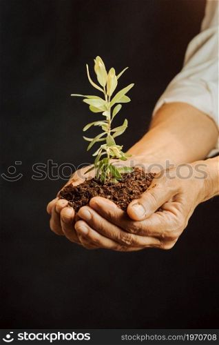 A woman in white holding a growing plant in her hands, peace and personal growing concepts, copy space