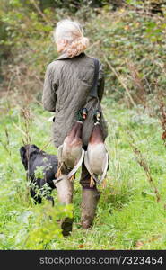 A woman picking-up duck with her working black labrador