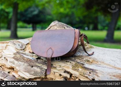 A woman&rsquo;s leather handbag on a tree trunk in the park