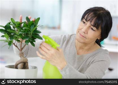a woman senior watering bonsai