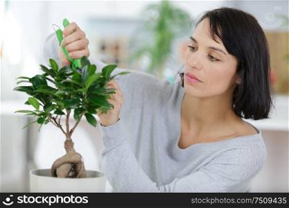 a woman triming a bonsai