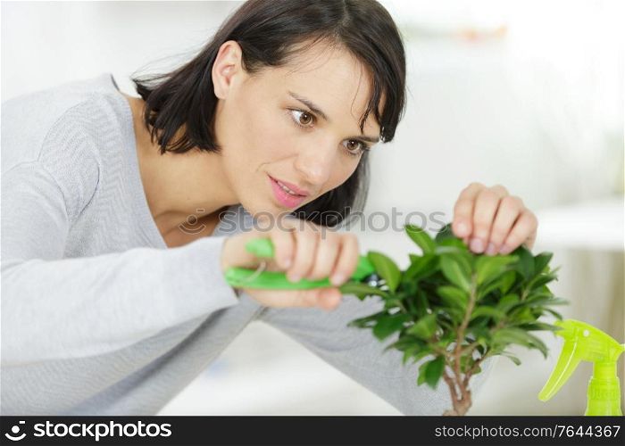 a woman trimming a bonsai