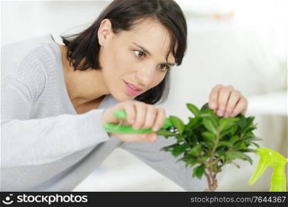 a woman trimming a bonsai