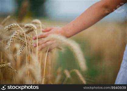 A woman walks her hand on ripe wheat.. woman walks her hand on ripe wheat.