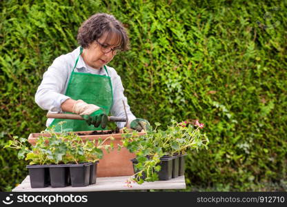 a woman with a green apron potting geranium flowers