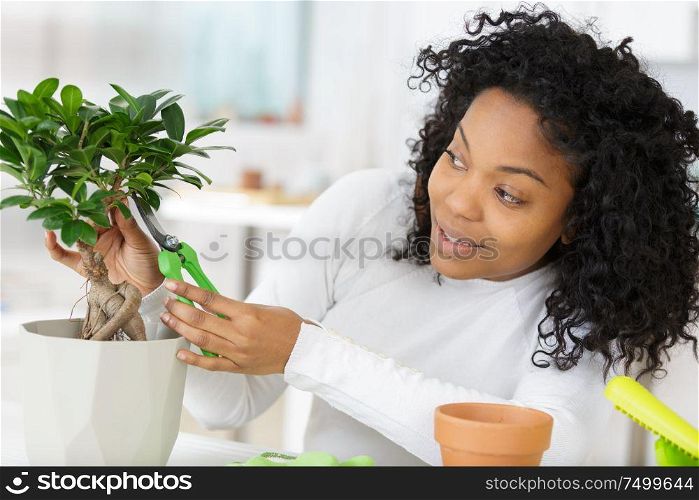 a woman working with a bonsai