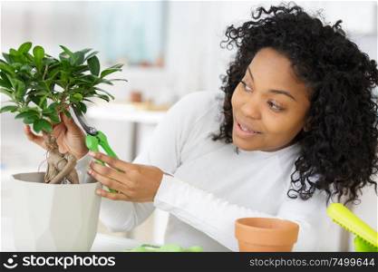 a woman working with a bonsai