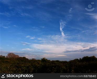 a wonderful blue sky over a field and tree tops outside peaceful and beautiful nature nice light