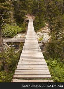 A wood suspension bridge provides a somewhat precarious crossing over a stream in Glacier National Park.