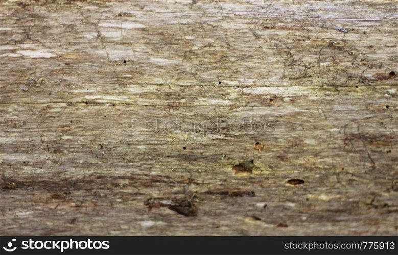 A Wooden background textured horisontal pattern in grey colors