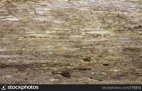 A Wooden background textured horisontal pattern in grey colors