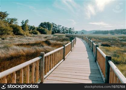 A wooden path through the beach during a super sunny day with copy space