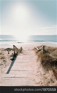 A wooden path to the beach with a sunny horizon with copy space during a bright day with copy space