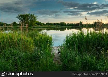 A wooden pier in green reeds on the lake shore and clouds on the sky, Stankow, Lubelskie, Poland