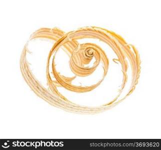 a wooden shaving isolated on white background