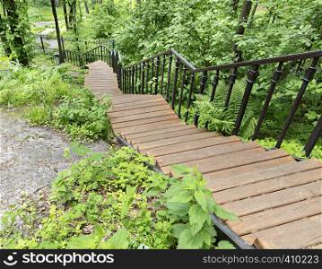 A wooden staircase with figured metal railing descends down the grove, a lighted park path goes down the hillside bending around a large stone boulder. A wooden staircase in the grove, a park path goes down the slope