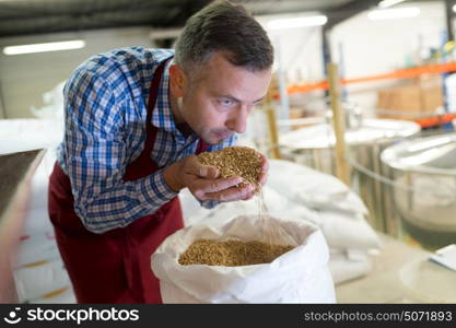 a worker smelling the grains