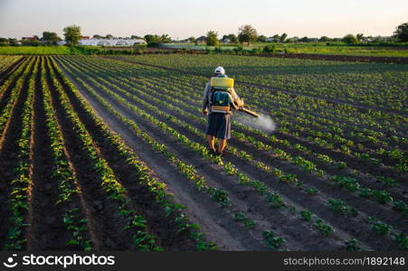 A worker with a sprayer works in the field. Use of chemicals for protection of cultivated plants from insects and fungal infections. Agriculture and agro industry. Farm work. Pesticides and fungicides