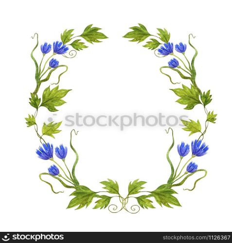 A wreath of blue wildflowers and grape leaves. Watercolor isolated illustration on a white background. For printing cards, invitation, greeting, design home decor.