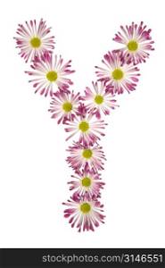 A Y Made Of Pink And White Daisies