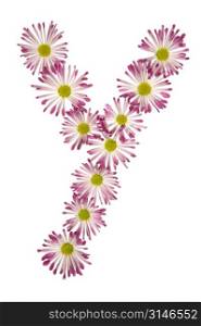 A Y Made Of Pink And White Daisies