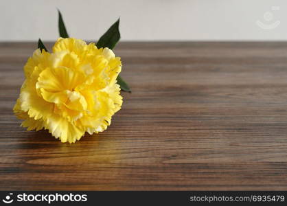 A yellow artificial carnation on a wooden background