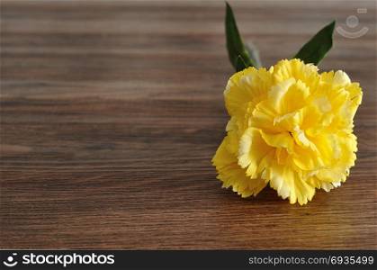 A yellow artificial carnation on a wooden background