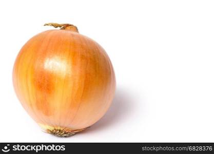 A yellow onion on an all white background.