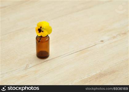 A yellow pansy in a small brown bottle for decoration