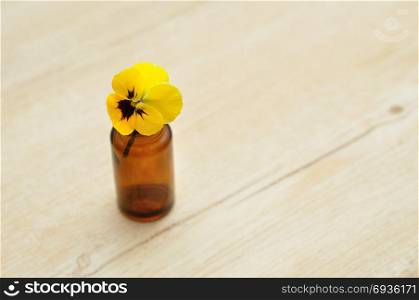 A yellow pansy in a small brown bottle for decoration