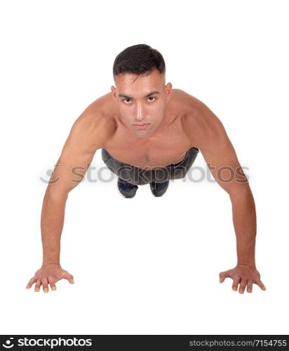 A young east Indian man doing his push aps on the floor in the studio looking into the camera, isolated for white background